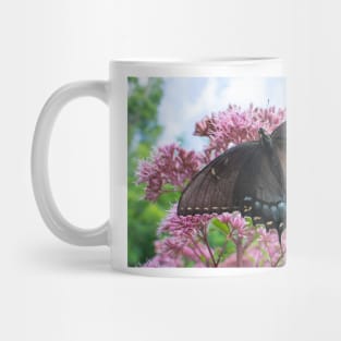 Apollos Butterfly Mug